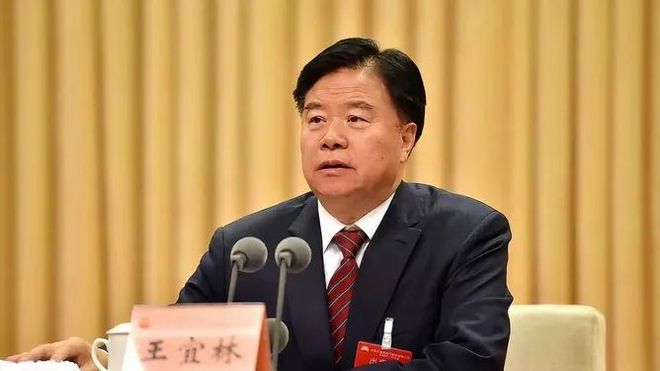 老虎王宜林获刑13年