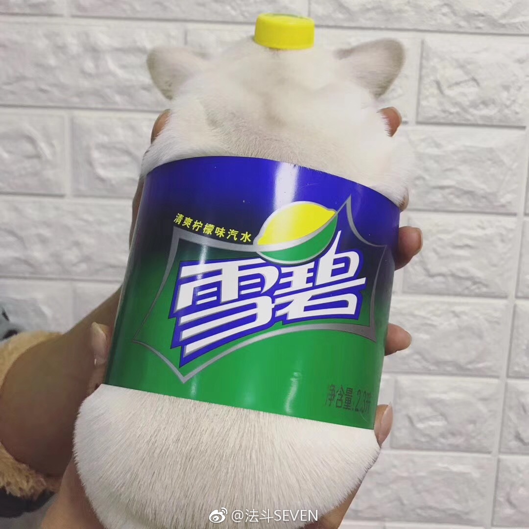 地方新闻 第28页
