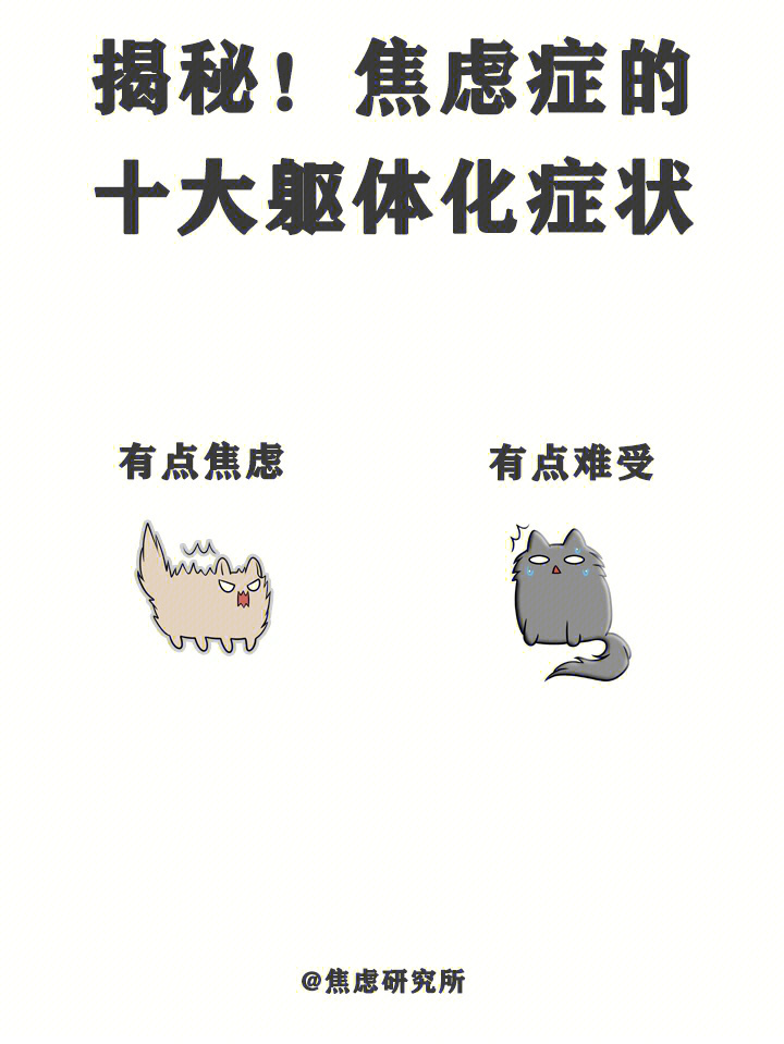 最新资讯 第22页
