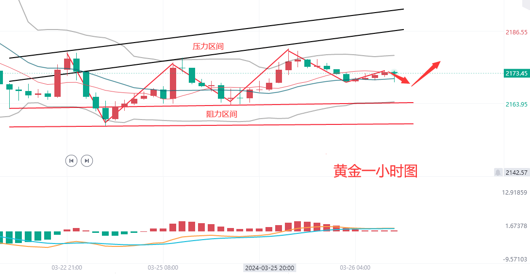 黄金为啥下跌 后市还会涨吗