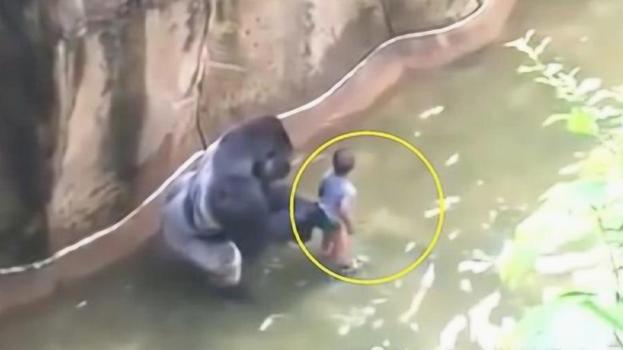 男子喂食人鱼被咬掉手指无奈接脚趾
