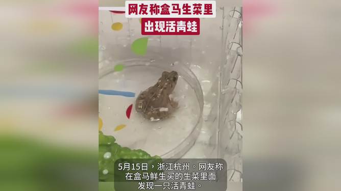 盒马生菜袋有活青蛙