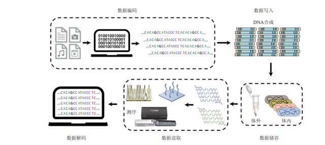 中国DNA信息存储技术取得新突破