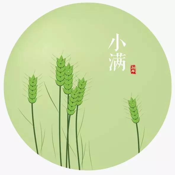 5月21日2时55分将迎来小满节气