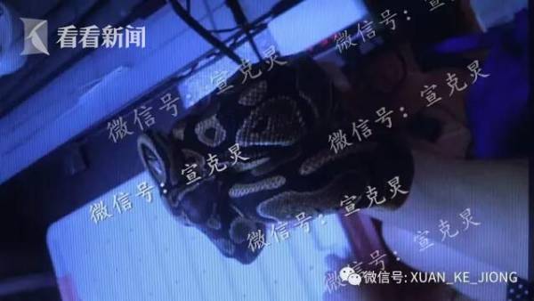 妻子3个月16次网购毒物预备杀夫