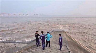 百科栏目 第6页