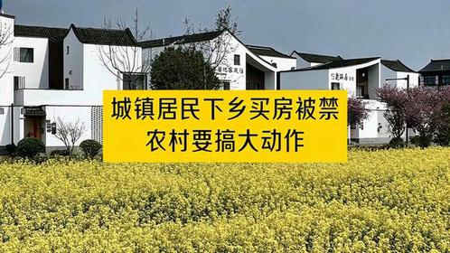 禁城镇居民农村买房