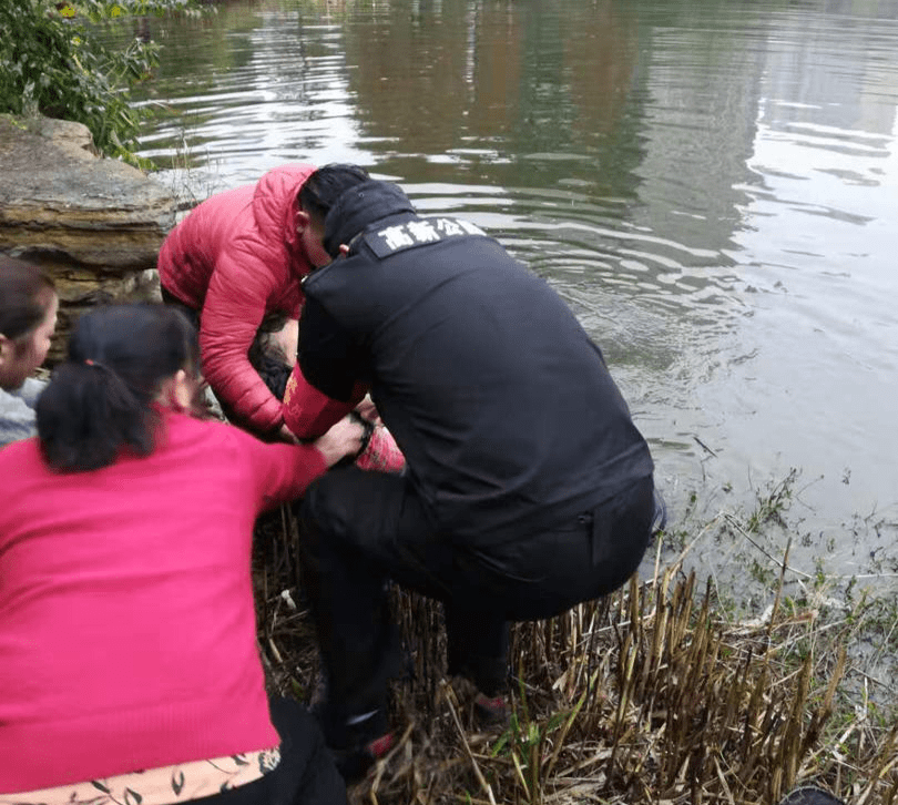 老人摘枇杷落水身亡