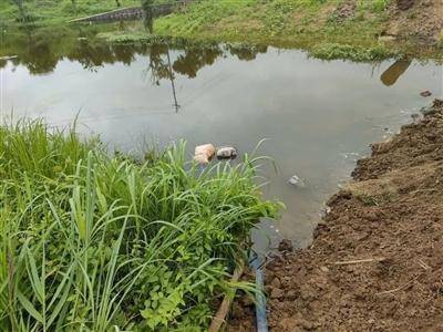 “南阳农民河道取水被罚5万”不实