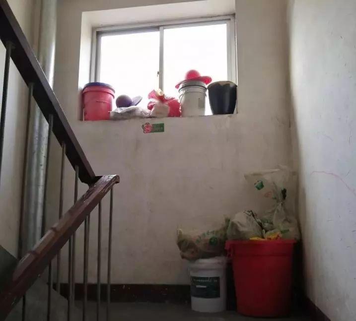 惊呆了！这个小区像现实版玩具屋，住进去的人都乐疯了！