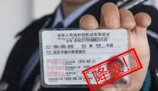震惊！取消哈佛留学生合法身份行为被叫停，背后真相令人深思！