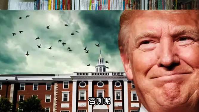 震惊！哈佛近7000名留学生怎么办？最新政策解读与生存指南