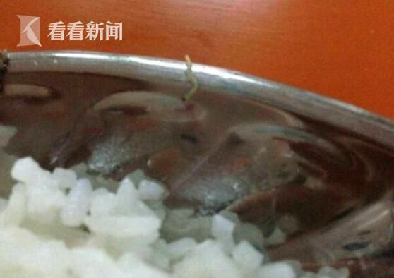 震惊！学校食堂绞肉机发现活蛆 官方通报引热议，食品安全再敲警钟！